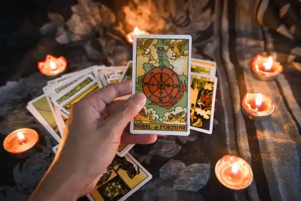 tarot cards Erwin